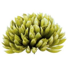 Umelá chryzantéma zelená 14 cm
