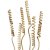Cane spring mini 35 cm