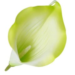 Umelá kala zelená 15 cm
