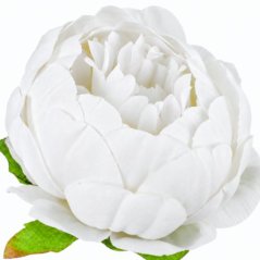 Umelá pivónia biela 8 cm