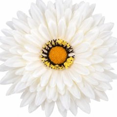 Umelá gerbera krémová 15 cm