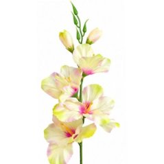 Umelá gladiola saténová krémovo zelená 54 cm
