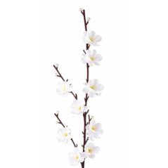 Jabloň kvet 01 / 51 cm