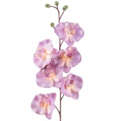 Umelá orchidea L728-06