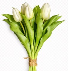 Umelá kytica tulipány biele 30 cm