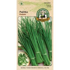 Pažítka Pražská