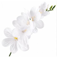 Umelá frézia biela 15 cm
