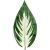 Umelý list Hosta 50 cm