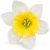 Umelý narcis bledožltý 12 cm