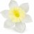 Umelý narcis maslový 12 cm