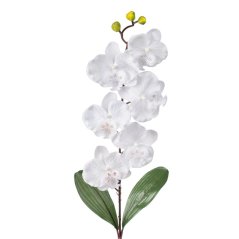 Umelá orchidea saténová L160-01