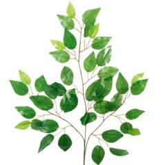 Umelý ficus zelený 63 cm