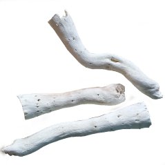 Koreň Copi Cone- bielený