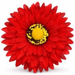 Umelá gerbera červená 15 cm