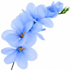 Umelá frézia modrá 15 cm