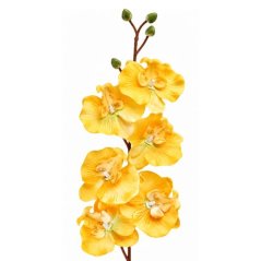 Umelá orchidea L728-03