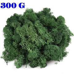 Stabilizovaný mach tmavozelený 300 g