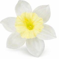 Umelý narcis maslový 12 cm