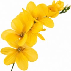 Umelá frézia žltá 15 cm
