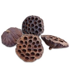 Sušený plod - lotus