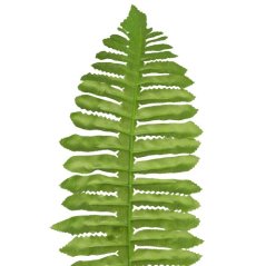 Papraď list - dl. 40 cm