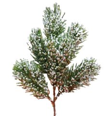 Halúzka zasnežená 02 / 30 cm