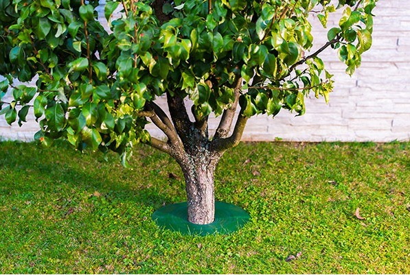 Ochrana stromov TreeGuard max. 320 mm