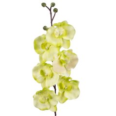 Umelá orchidea L728-05