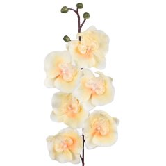 Umelá orchidea L728-02