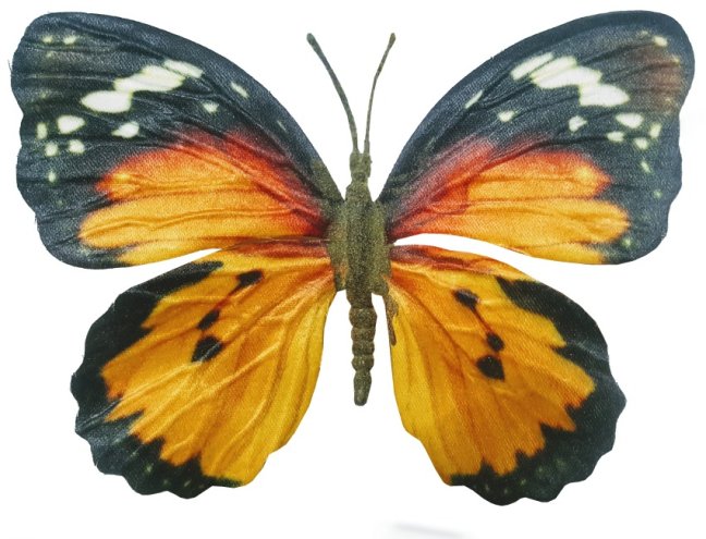 Motýľ na štipci 9 cm Motýľ na štipci 9 cm