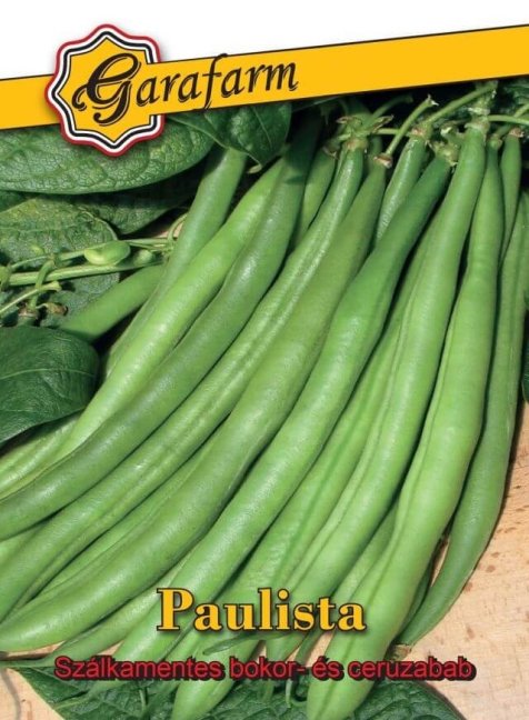 Fazuľa Paulista - kríčková Fazuľa Paulista - kríčková