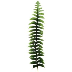 Papraď list - dl. 55 cm