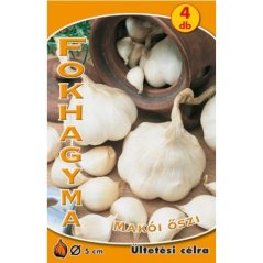 Cesnak MAKOI jesenný 4 ks - hlavičiek