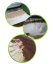 Geotextília GeoNETEX MB 300 g / m², šírka 2 m / 1 bm