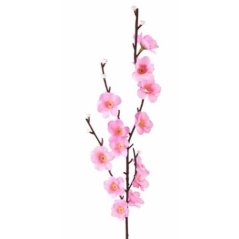 Jabloň kvet 04 / 51 cm