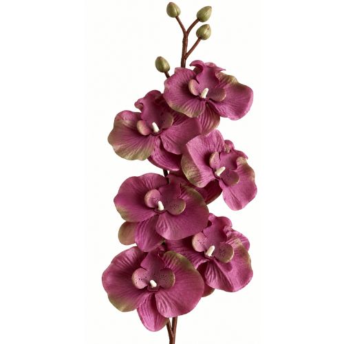 Umelá orchidea L728-13