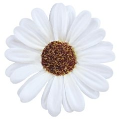 Umelá krasuľka biela 8 cm
