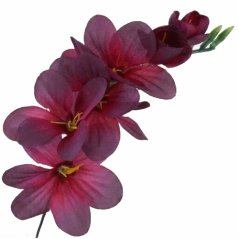 Umelá frézia burgundy 15 cm