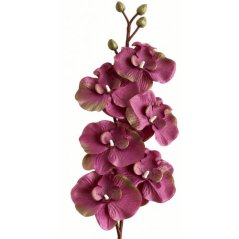 Umelá orchidea L728-13