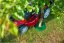 Ochrana stromov TreeGuard max. 320 mm