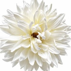 Umelá dália biela 14 cm